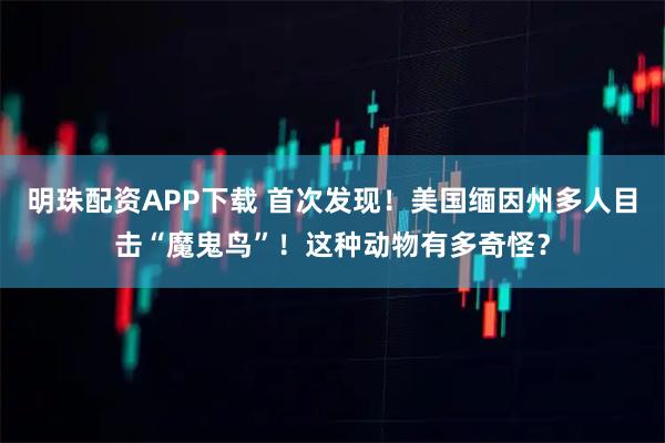 明珠配资APP下载 首次发现！美国缅因州多人目击“魔鬼鸟”！这种动物有多奇怪？