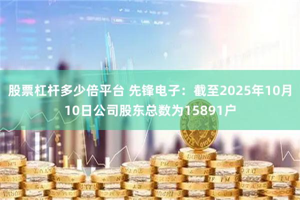 股票杠杆多少倍平台 先锋电子：截至2025年10月10日公司股东总数为15891户