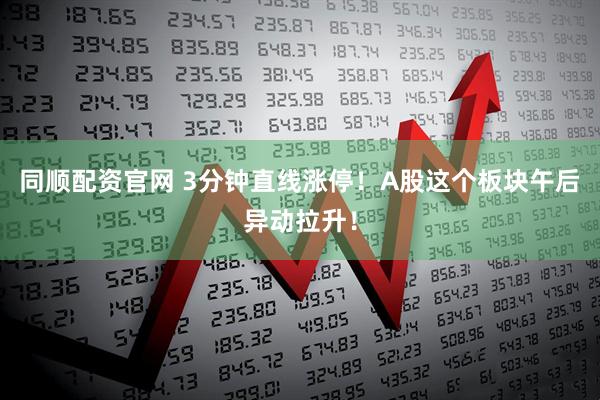 同顺配资官网 3分钟直线涨停！A股这个板块午后异动拉升！