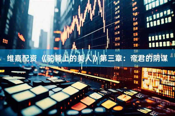 维嘉配资 《驼背上的美人》第三章：帝君的阴谋